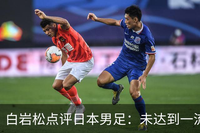 白岩松点评日本男足：未达到一流强队标准，仍需克服对荷兰的恐惧